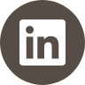 icon_in